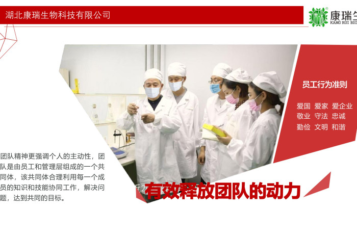 小批量功能食品代工，就選湖北康瑞生物！支持專業(yè)打樣與靈活定制