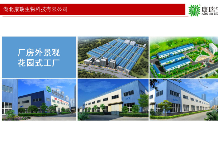 膏滋貼牌不止是“換個包裝”！從配方研發(fā)到國潮設(shè)計，一站式服務(wù)讓你的品牌脫穎而出